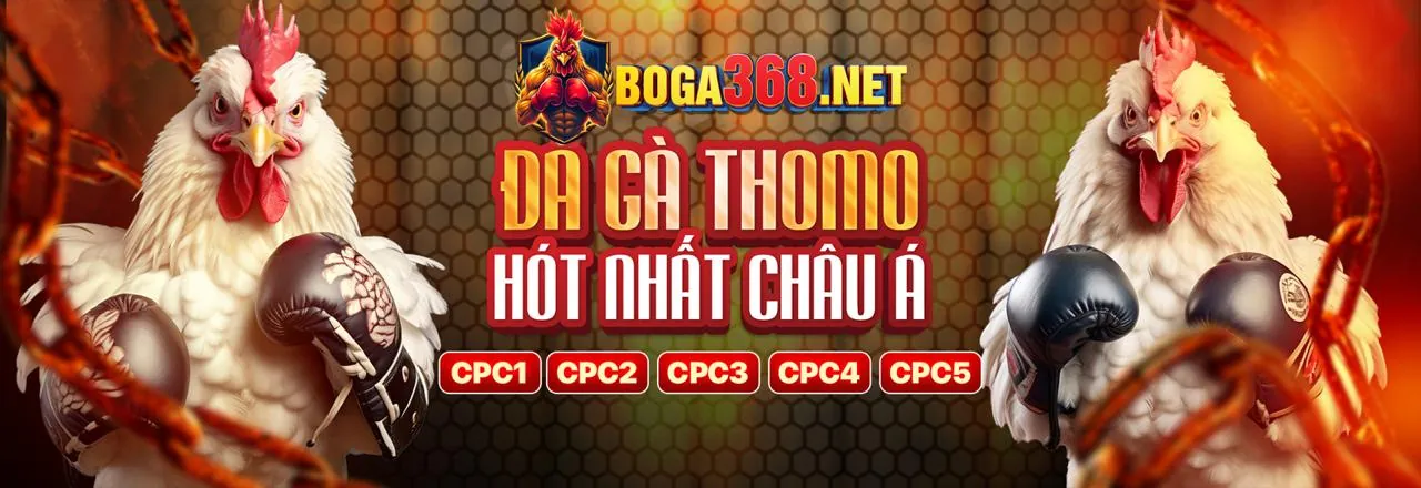 Đá Gà Trực Tuyến Hấp Dẫn tại X888 APK