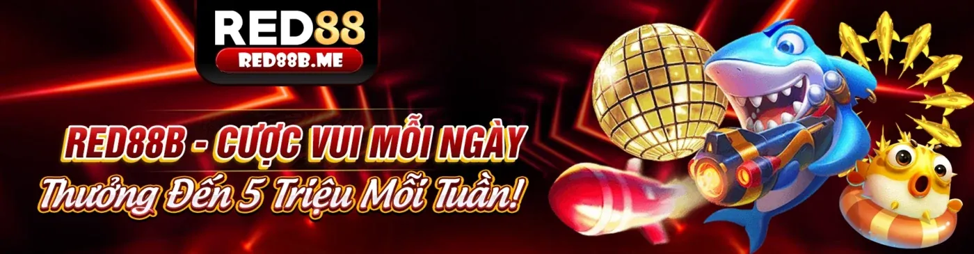Hình ảnh tổng quan về GDPR và tầm quan trọng của nó đối với X888 APK