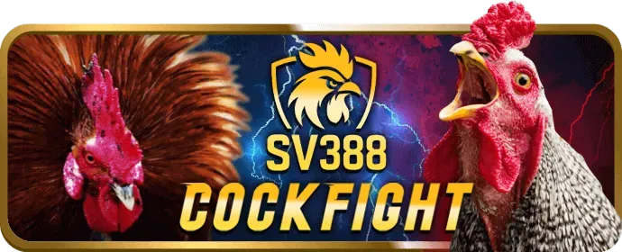 Tổng quan về nền tảng cá cược X888 APK và lý do cần mẹo chơi